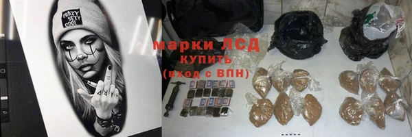 шишки Баксан