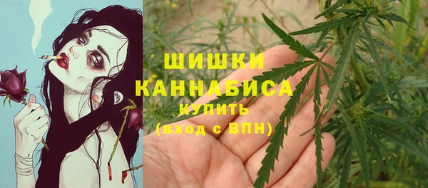 соль ск Балабаново