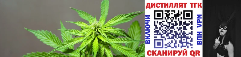 где продают наркотики  shop состав  Дистиллят ТГК THC oil  Воткинск 