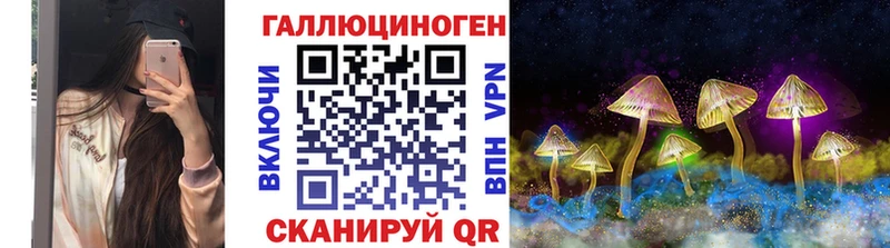 мега маркетплейс  Воткинск  Галлюциногенные грибы Psilocybine cubensis 